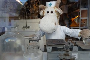 Vitrines de Noël de Beaulieu sous la Roche