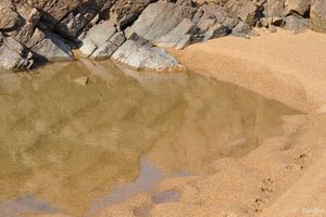 Rêve d'Egypte aux Sables d'Olonne