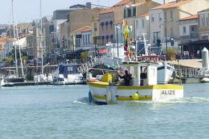 Dans le port des Sables d'Olonne