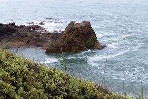 Coups de coeur de promenade au château d'Olonne