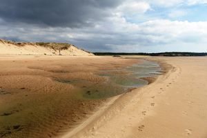 Randonnée dans l'estuaire du payré à Marée basse