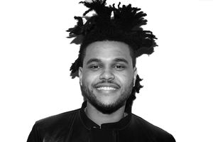 The Weeknd - In The Night