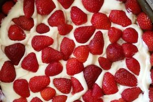 Fraisier au mascarpone