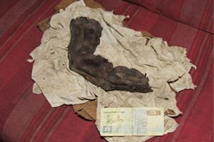 Un doigt momifié de 38 cm découvert en Egypte