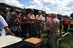 RUCHERS DES 3 FRONTIERES JUILLET 2015