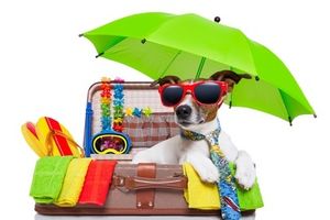 Blog en pause vacances