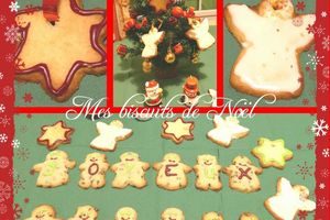 Biscuits canelle / chocolat et passion / coco - Foodista Challenge #14