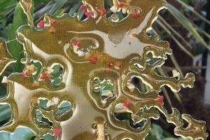 Une fleur pour y déposer des cœurs : mes 1ers essais avec l'isomalt