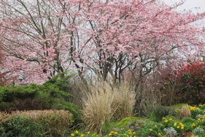 Saint-Lô, un air de printemps