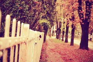 TAG Let's Fall in Wonderland