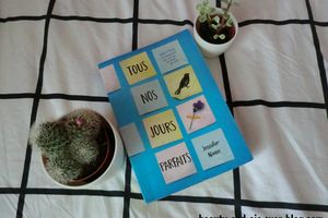{Livre} Tout nos jours parfaits