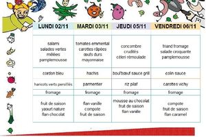 MENU SEMAINE 45