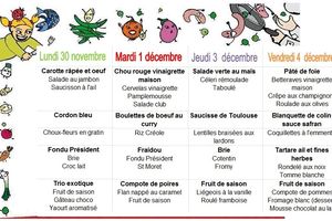 MENU SEMAINE 49