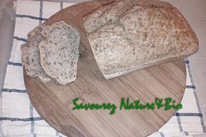 Pain express bio sans gluten