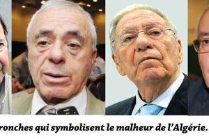 Saïd Bouteflika, son harem, son hammam et la castration nationale