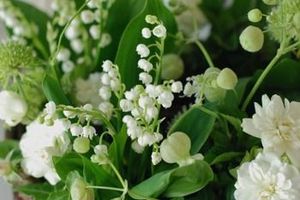 Demain...le jour du muguet .....