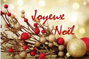 Séance du jeudi 15 Décembre annulée