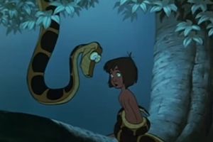Je sais que vous êtes là et que vous lisez mes articles ...