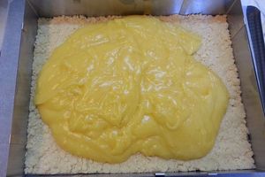 Carrés au citron et crumble au coco