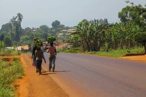 Cameroun - Océan: L’Etat arrache le terrain de Marafa Hamidou Yaya à Kribi
