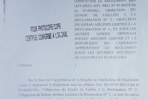 Ordonnance du tribunal des Faillites de l'Oregon (USA) accordant une réponse favorable à la requête de Me Akéré Muna.