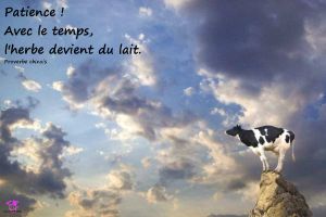 Citation du jour - Proverbe chinois