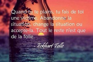 Eckhart Tollé - 15 Citations