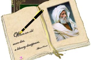 Quote of the day - African proverb