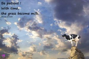 Quote of the day - Chinese proverb