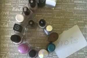 6 mois déjà : le bilan