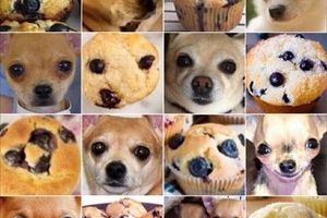 Des cookies ?