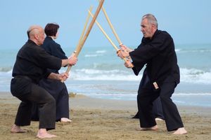 STAGE KARATE DO SHOTOKAI et ARMES 5 juillet 2015