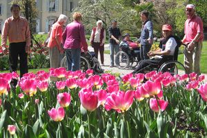 5 activités thérapeutiques pour les soins de la maladie d'Alzheimer