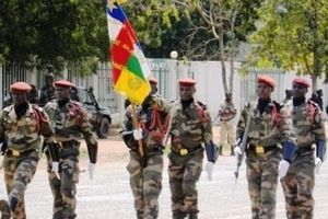 LES FORCES ARMÉES CENTRAFRICAINES SERAIENT DÉSORMAIS RÉHABILITÉES. DIXIT DAVID BROWN
