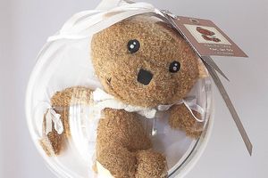 Vous connaissez l'Ours Kiwi ? Moi je l'adore ! (Concours Facebook)