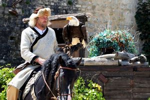 Provins : Les Aigles des Remparts, un spectacle inoubliable à Provins
