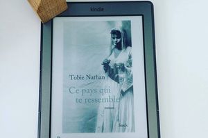 Ce pays qui te ressemble, de Tobie NATHAN