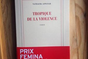 Tropique de la violence, de Nathacha APPANAH