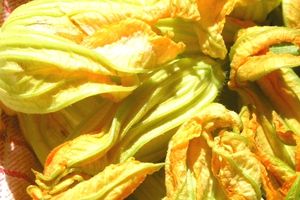 Fleurs de Courgettes farcies... gourmandes et délicates