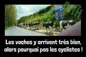 Enigmes et ironie.