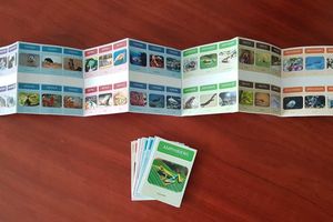 Jeu de 7 familles "classification des animaux"