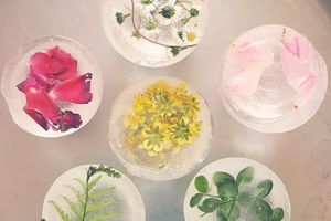 Glaçons de fleurs