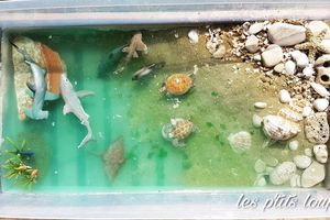 mini monde de l'océan