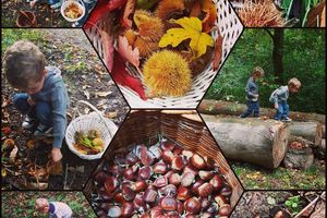 Automne en vrac