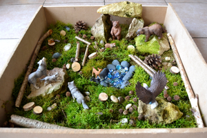 Bac nature forêt