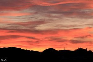 Lundi Soleil #11 : Twilight