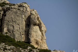 Lundi Soleil #17 : Paréidolie et Nature