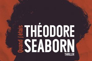 Quand j'étais Théodore Seaborn