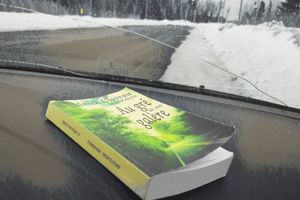 Au gré de ma galère