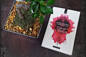 Daniil et Vanya